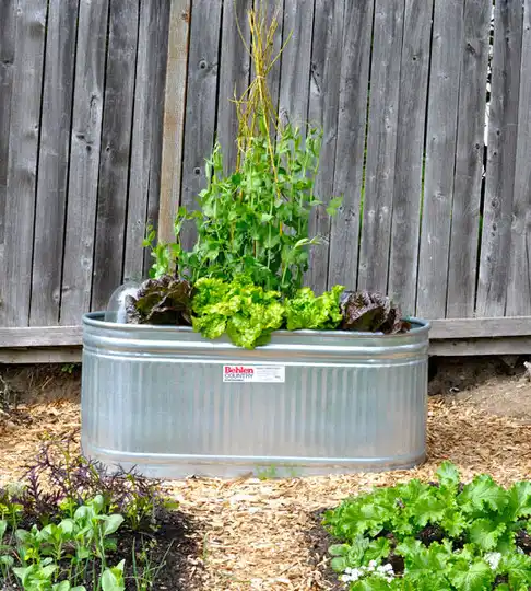 Galvanized planter