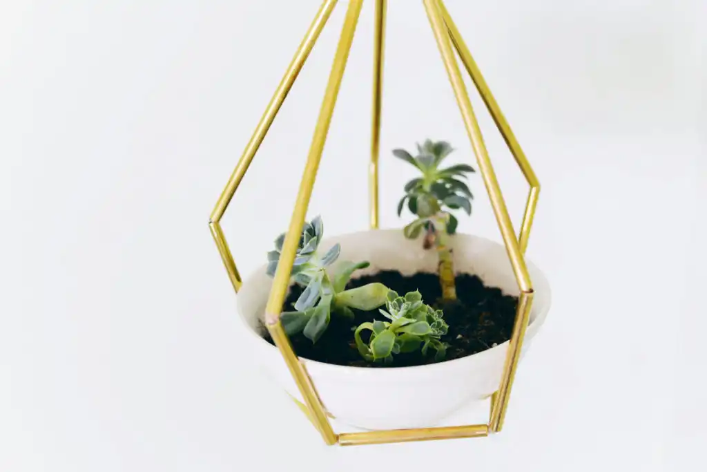 Geometric hanging planter1 1024x683