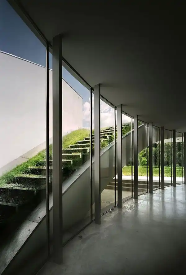 Green roof kw promes2