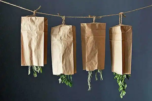 Hanging herbs for drying process