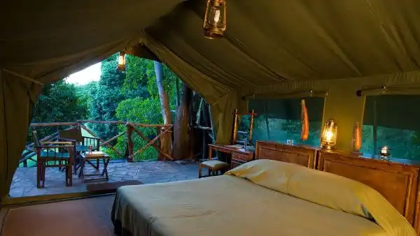Kichwa tembo bateleur camp4