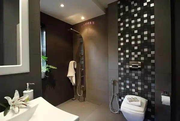 Luxury bathroom