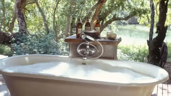 Makanyane safari lodge1