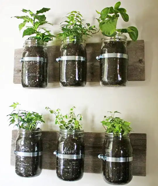 Mason jar