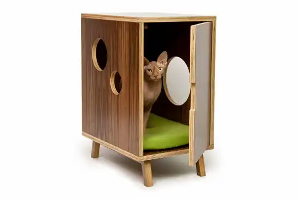 Modern pet