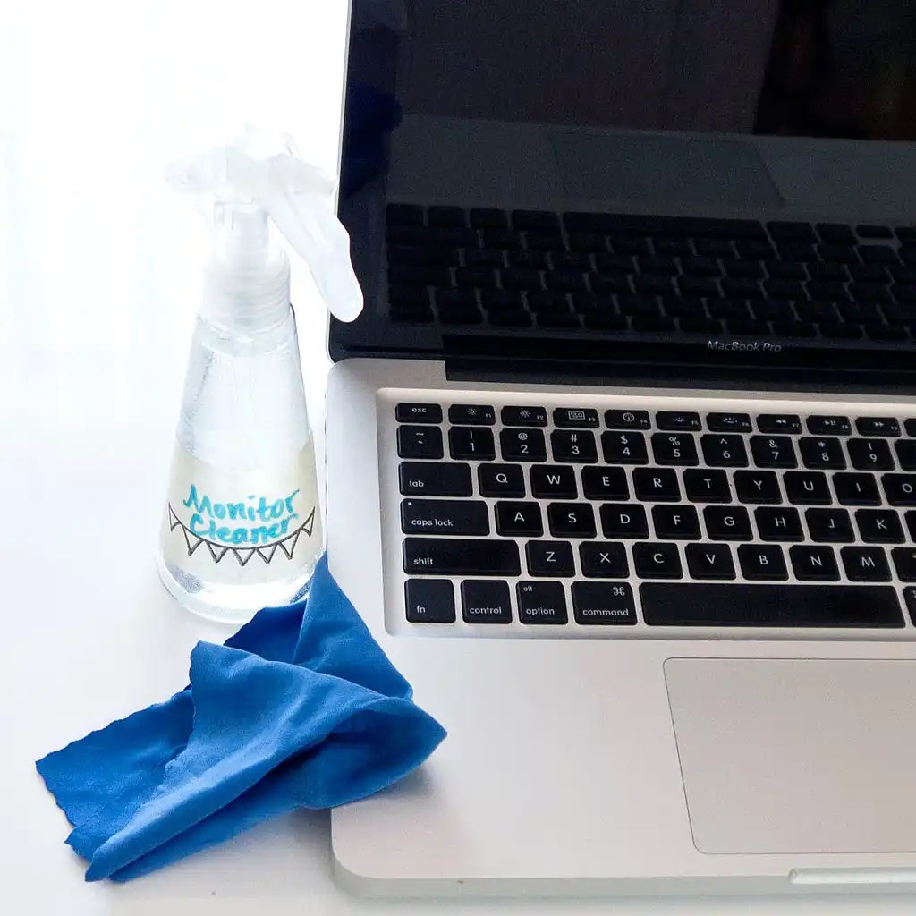 Monitor cleaner homemade