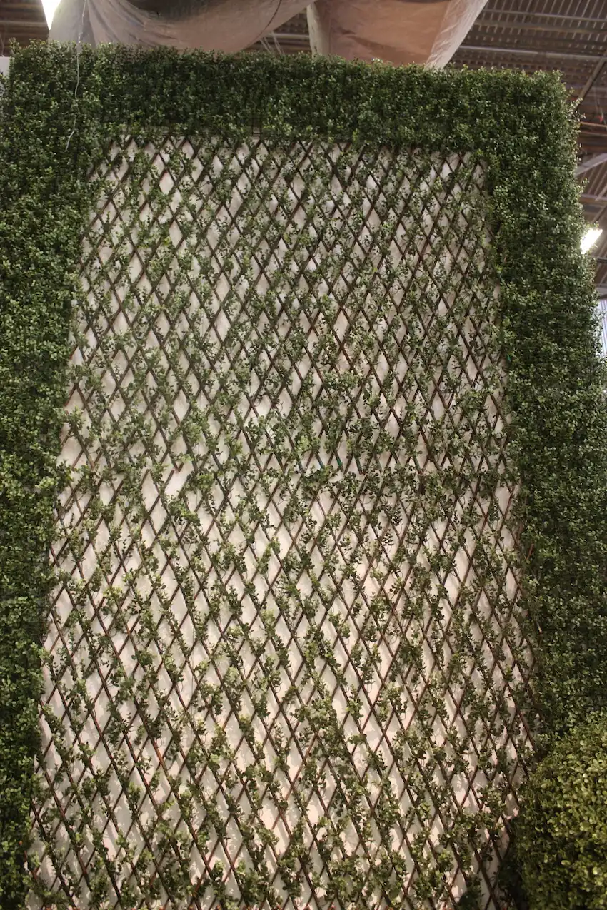 new growth trellis