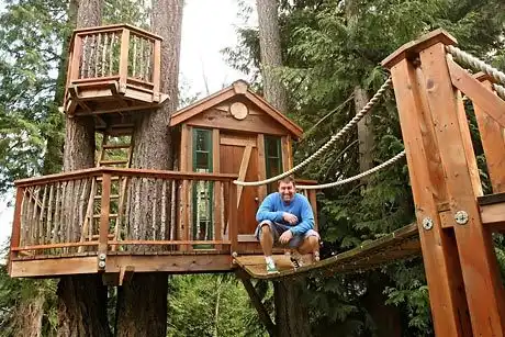 Normal tree house3