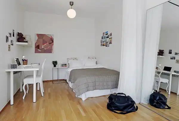 One room apartment scandinavian5