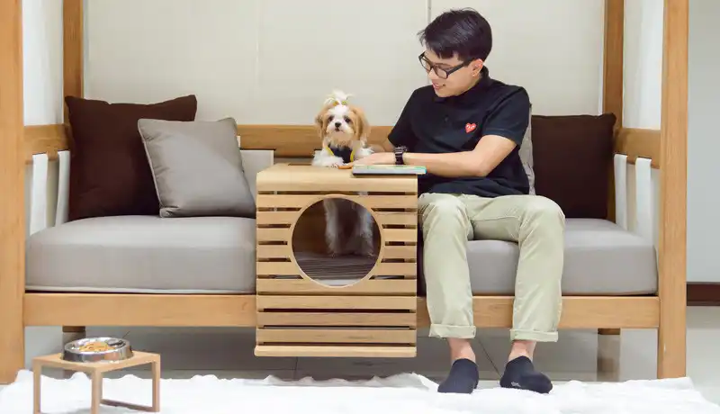 Outdoor sofa is designed for people and pets