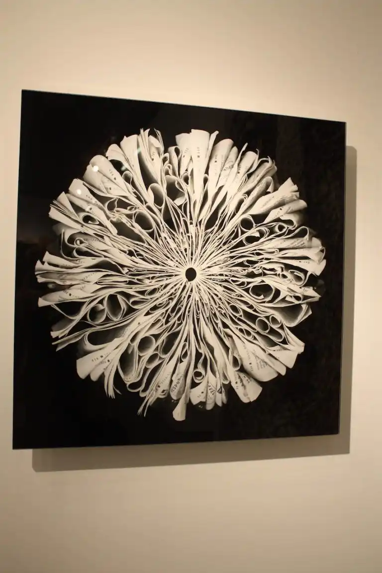 Photographer Cara Barer wall art