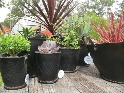 Planters of recycled tyres 1