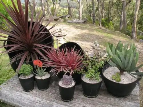 Planters of recycled tyres 2