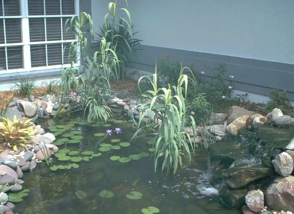 Pond in yard 1024x744