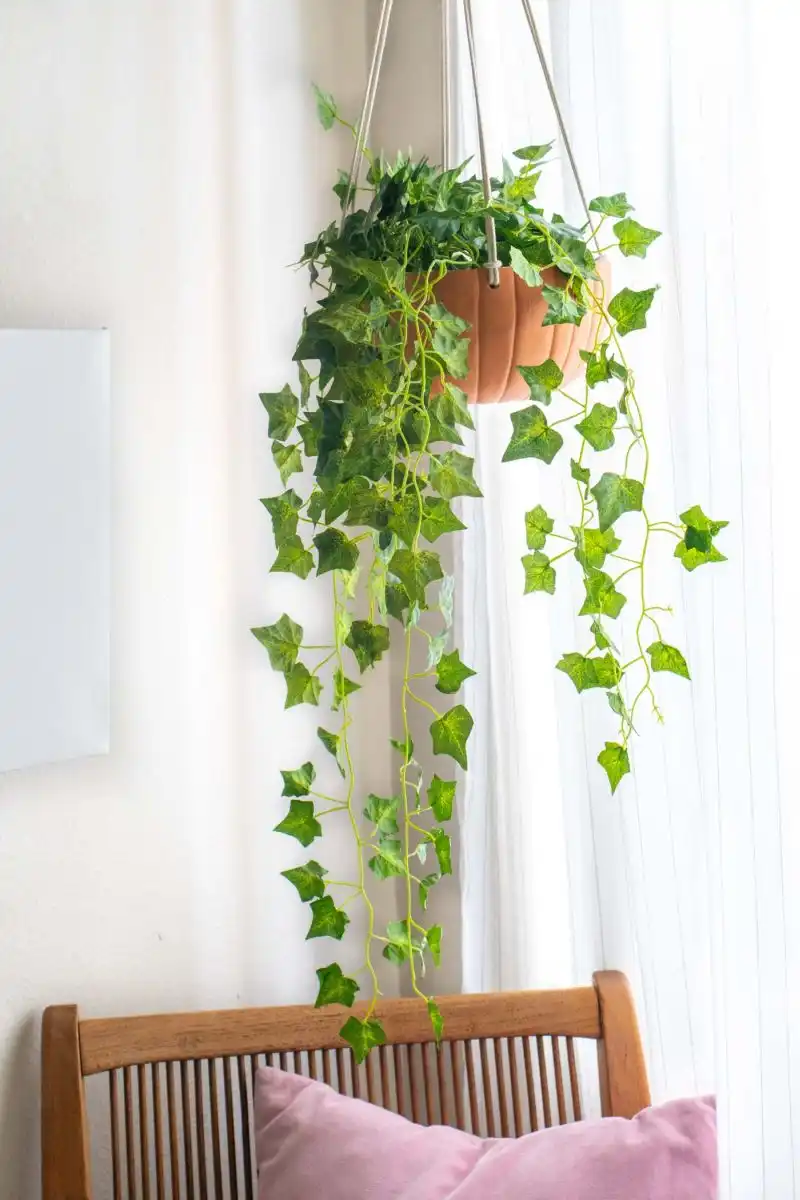 Pumpkin planter diy