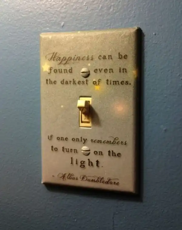 Quote light switch cover