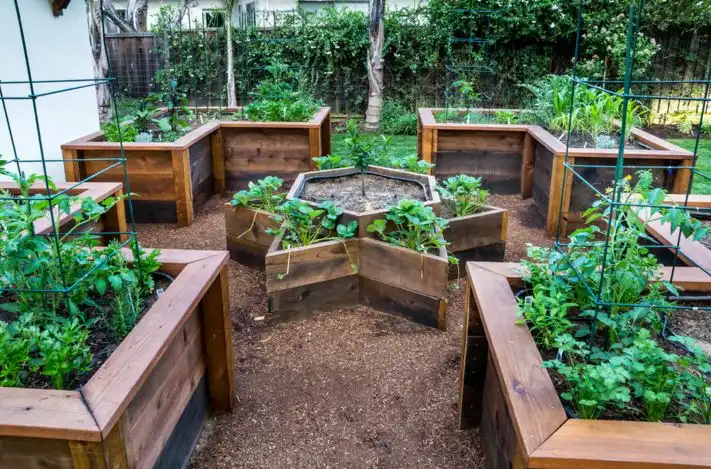 raised vegetable beds project for garden
