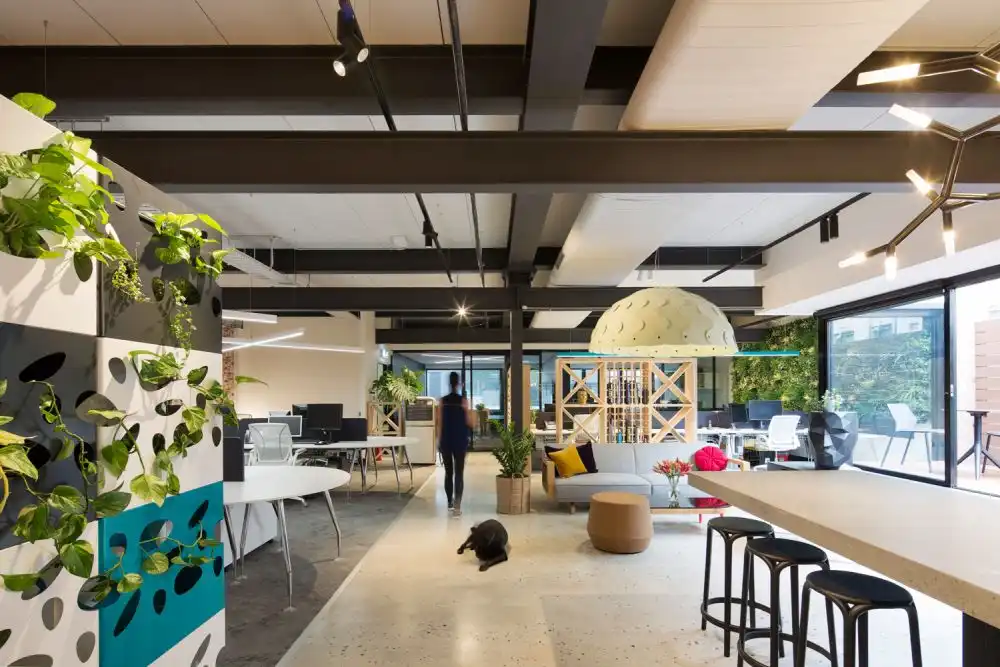 Rfa Architects Offices Interior