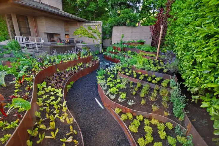 seprate-vegetables-with-a-metalic-edging