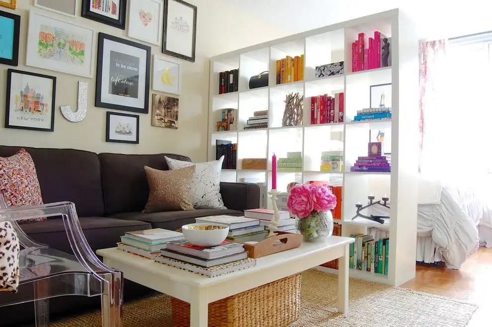 shelves are great for diving up studio apartments