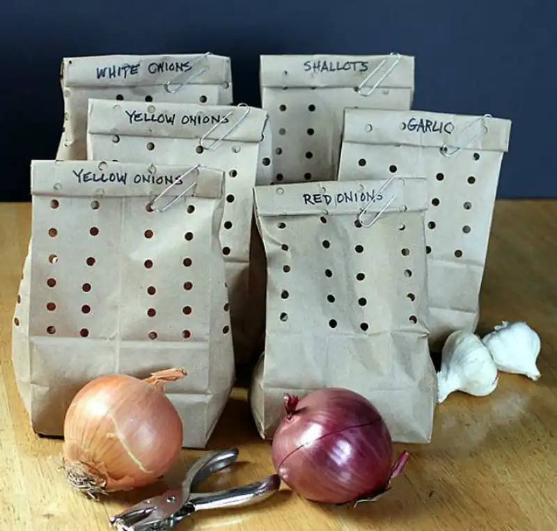 storing onions