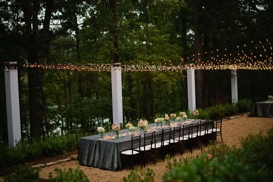 string-lights-spectacular-design-for-party