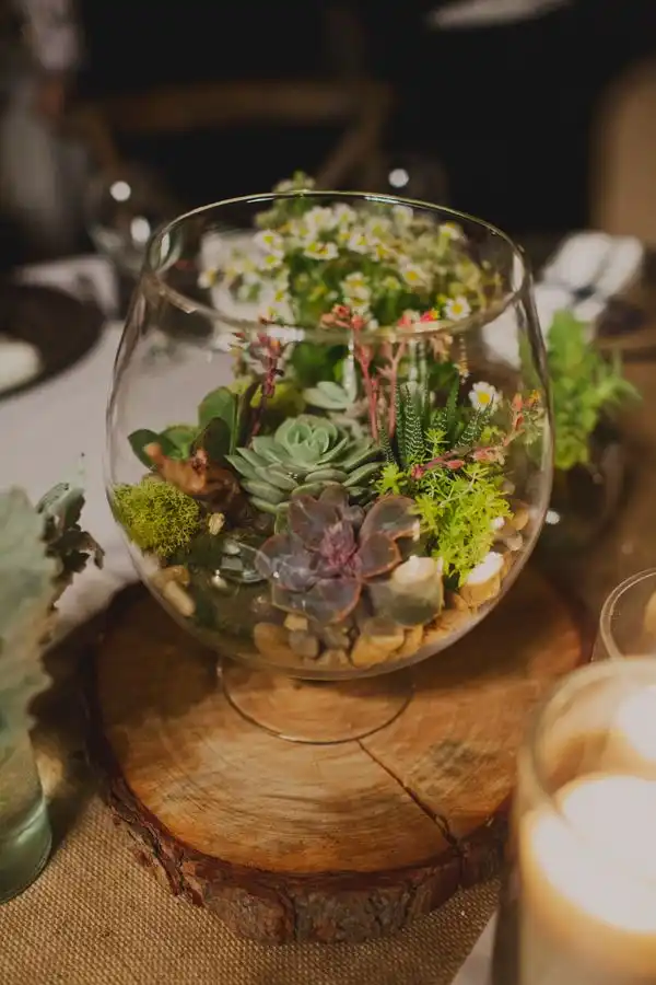 Table centerpiece succulent design