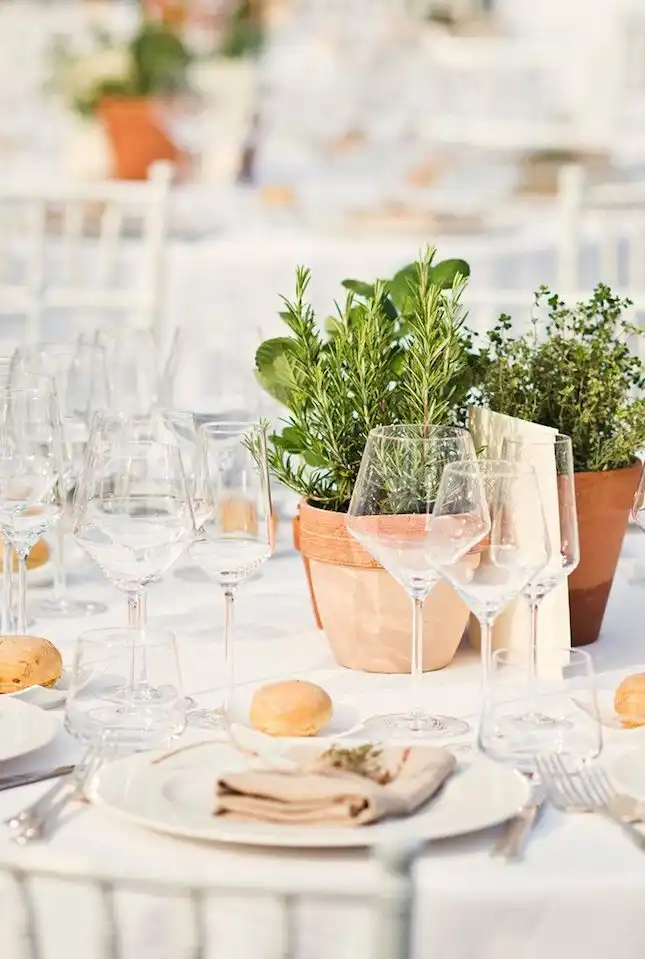 terra-cotta-pots-table