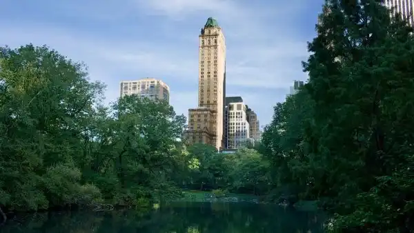 The pierre