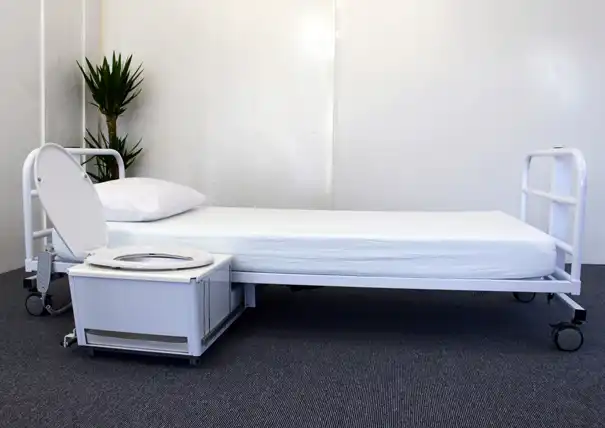 Toilet bed