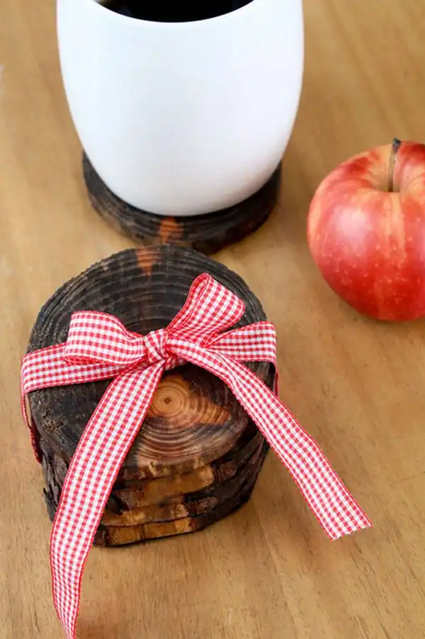 Tree limb coaster
