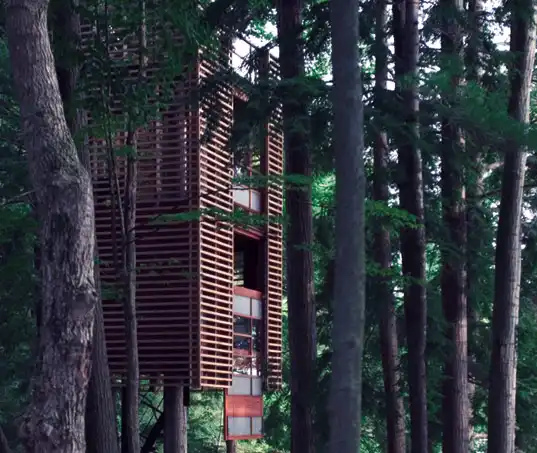 Treehouse5