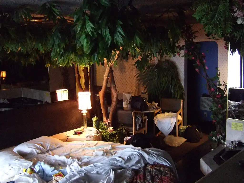 Unique bedroom design with a green tree inside