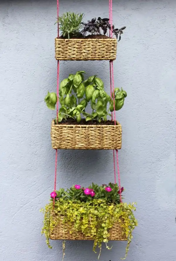 Vertical garden