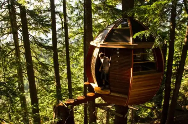 Whistler tree house 5