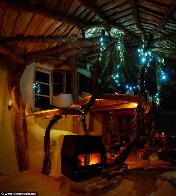 Wood burner