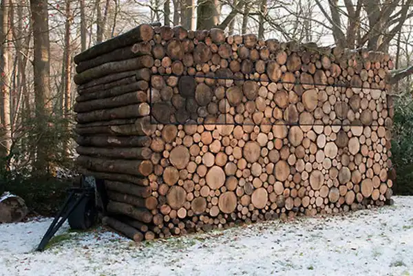 Wood shed tree2
