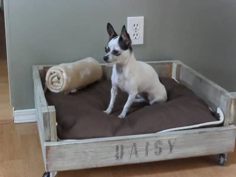 wooden crate cat storage bed