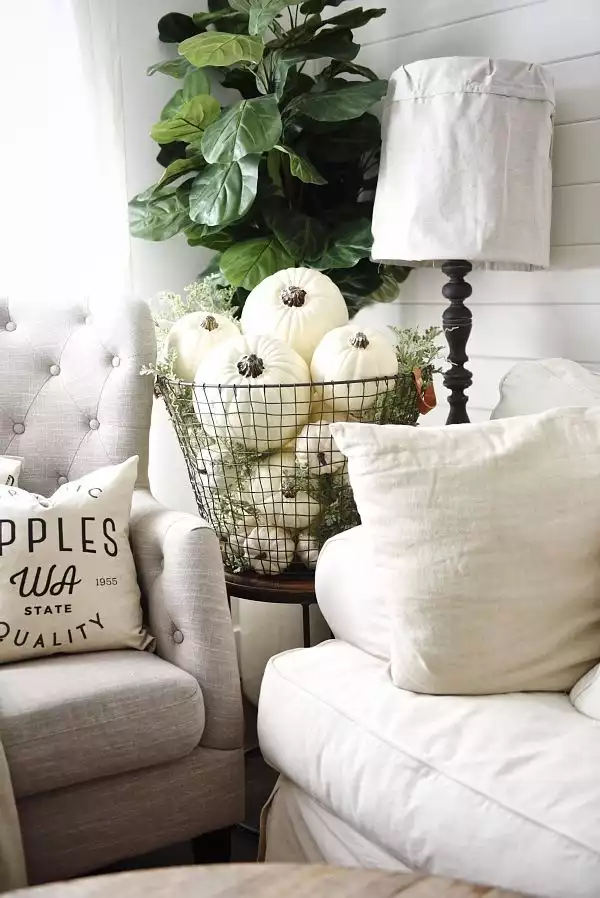 Basket of Pumpkins