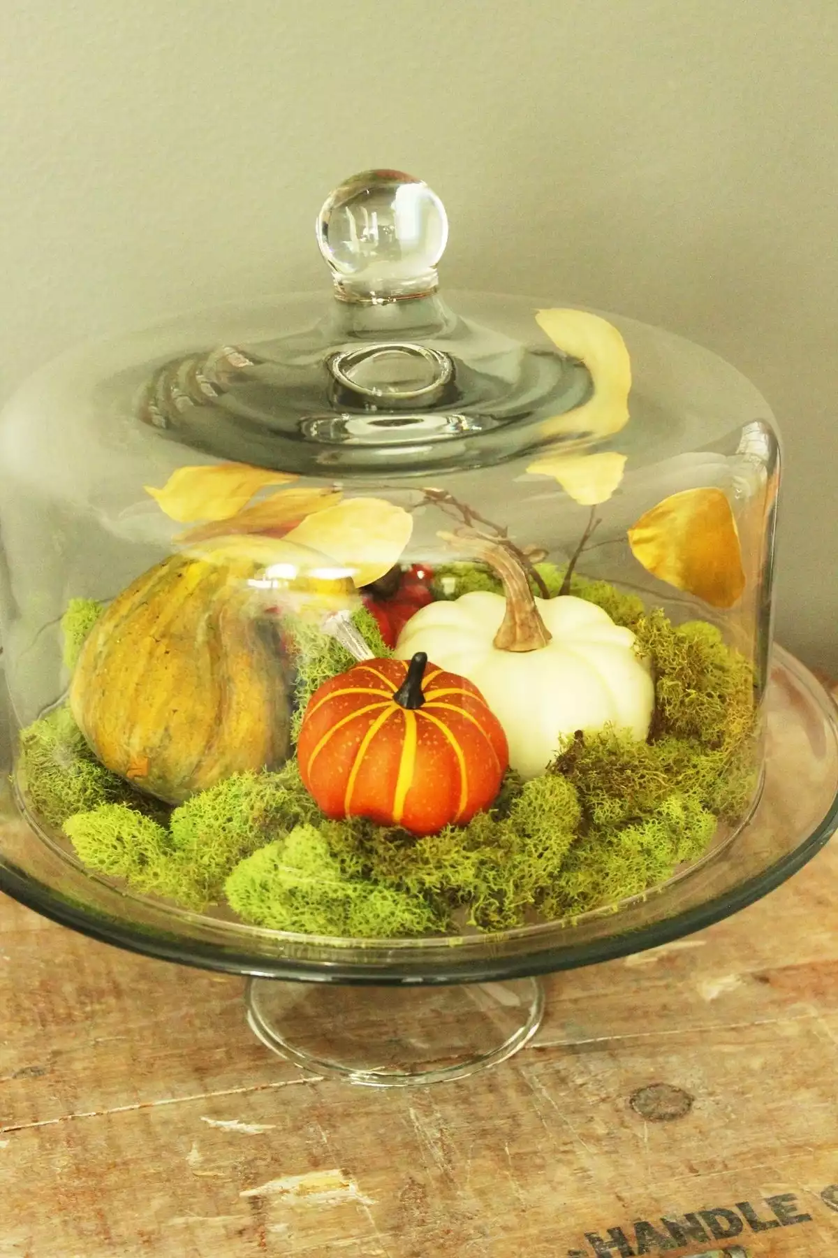 Beautiful DIY Domed Pumpkin Patch