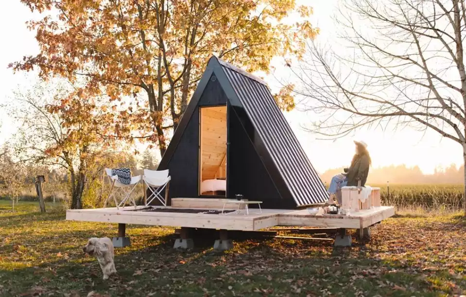 Bivvi Cabin