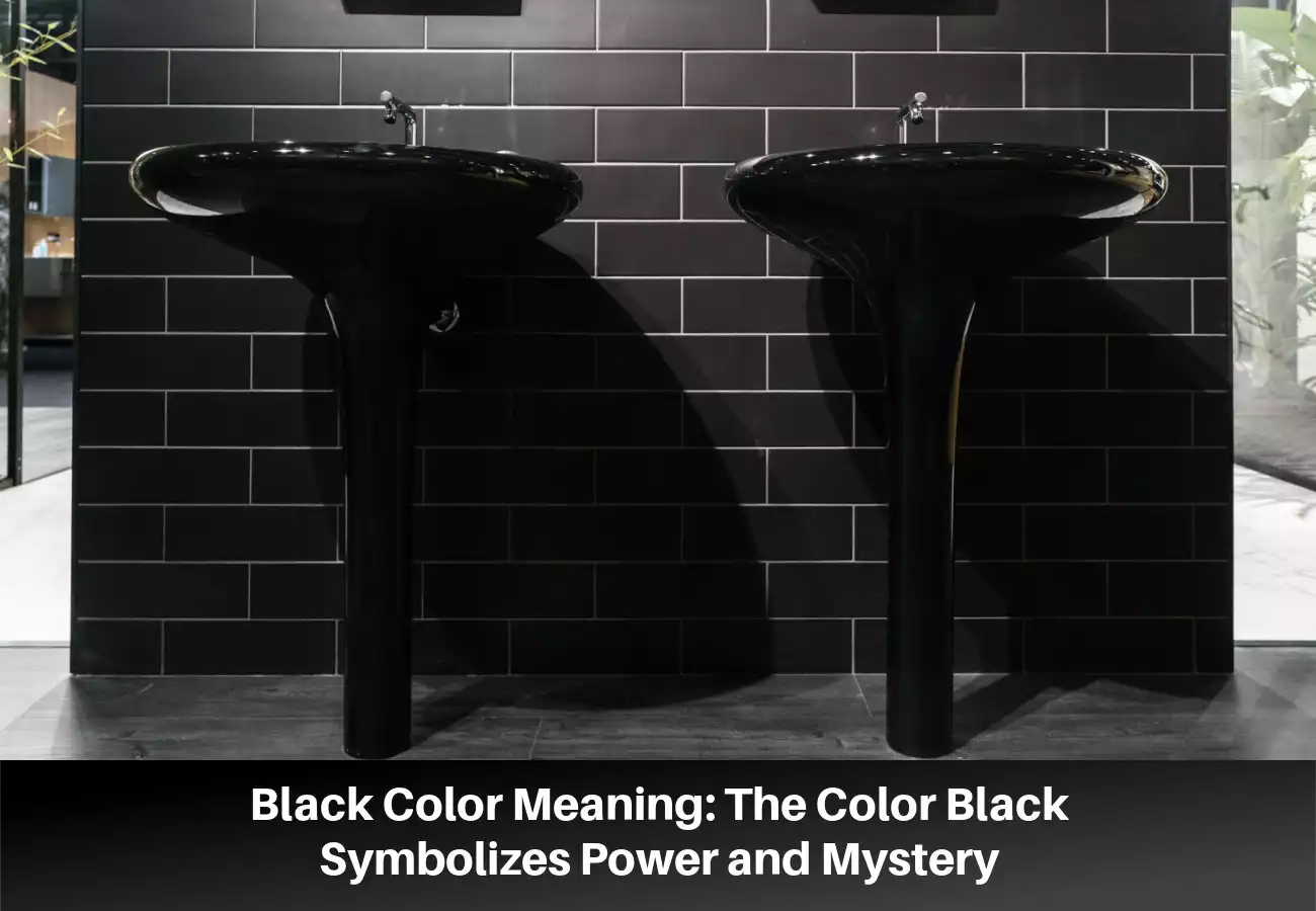 Black Color Meaning: The Color Black Symbolizes Power and Mystery