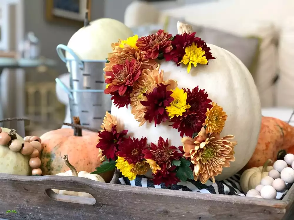 Blooming Monogrammed Pumpkin