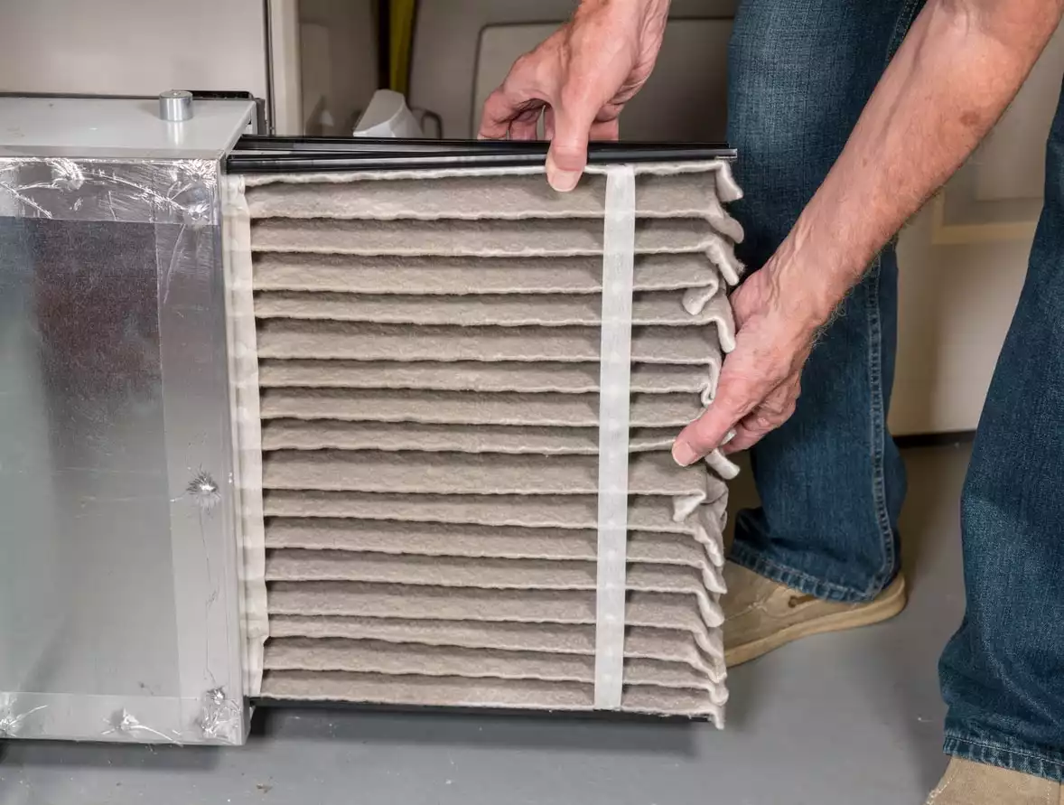 Check the air purifier filters to remove odors