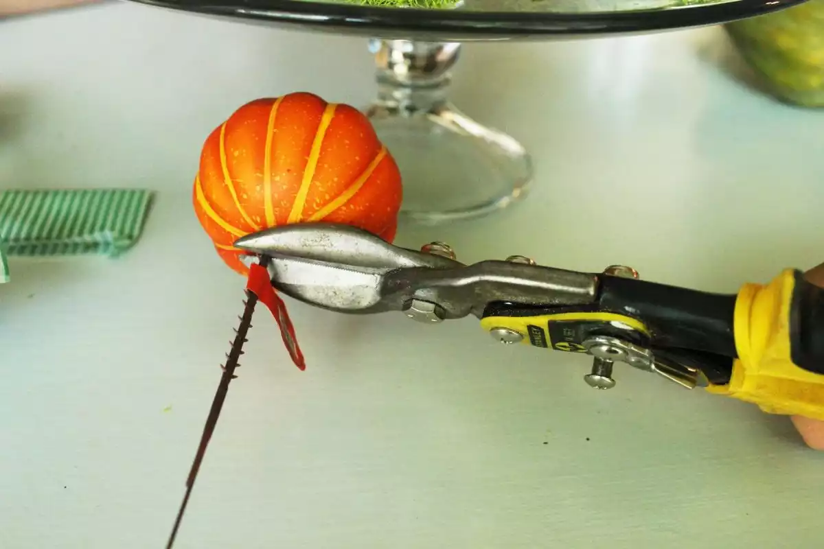 Cut the stems off of your pumpkin picks using tin snips
