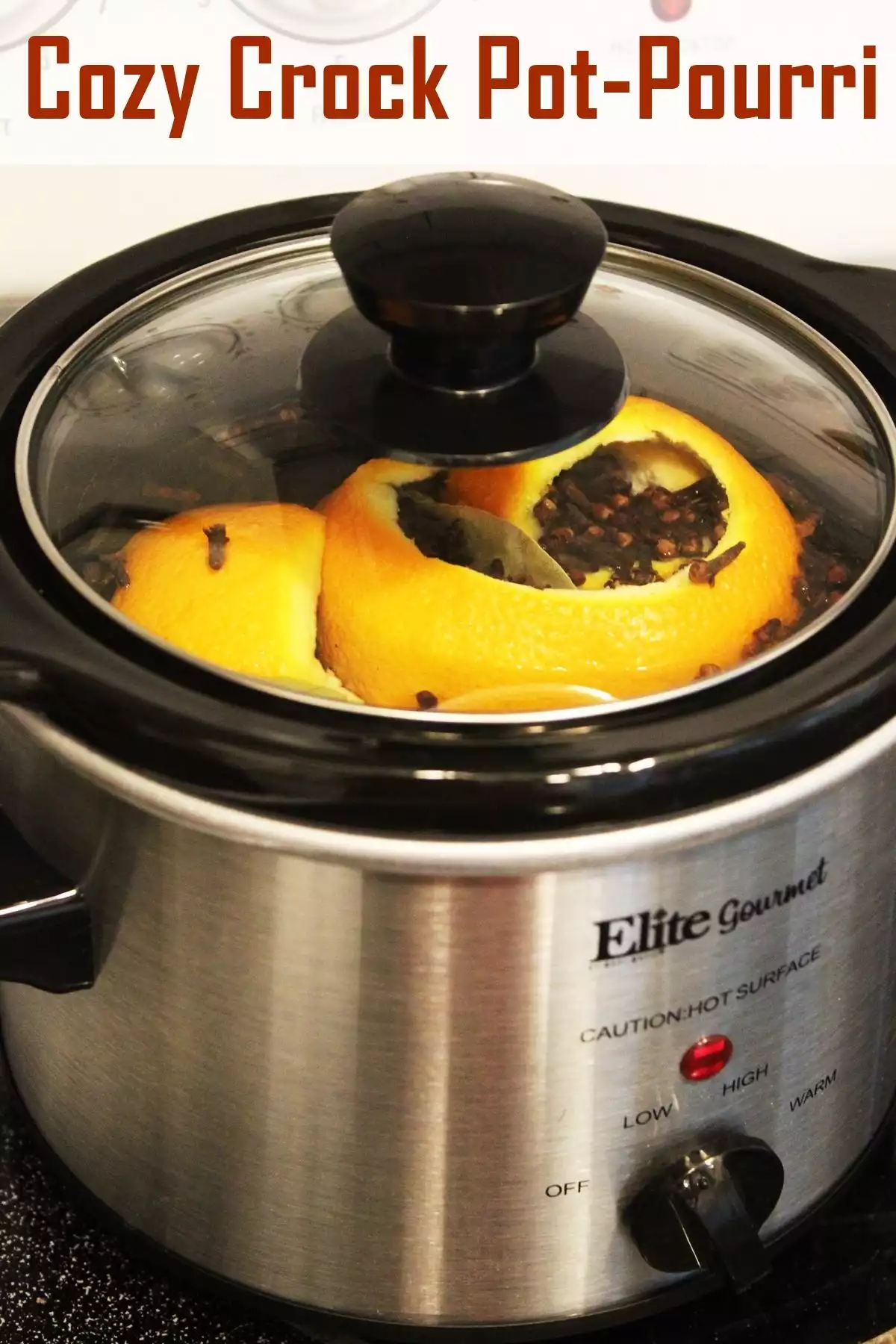 DIY Autumn Aromas- Cozy Crock Pot-Pourri