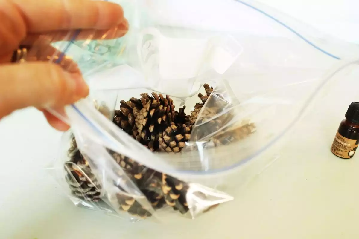 DIY Autumn Aromas-Place the pinecones into your bag