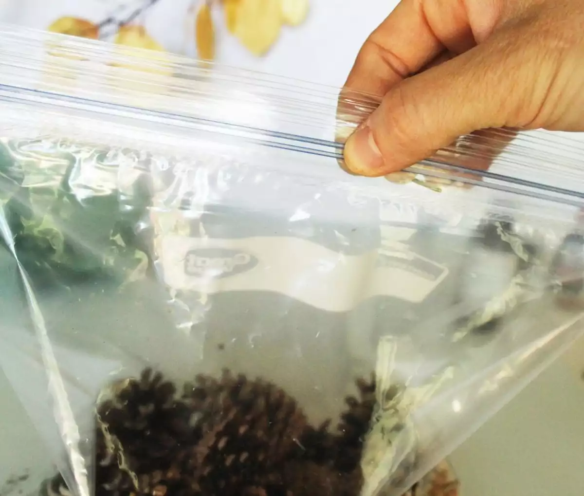 DIY Autumn Aromas-Secure the zip on the bag