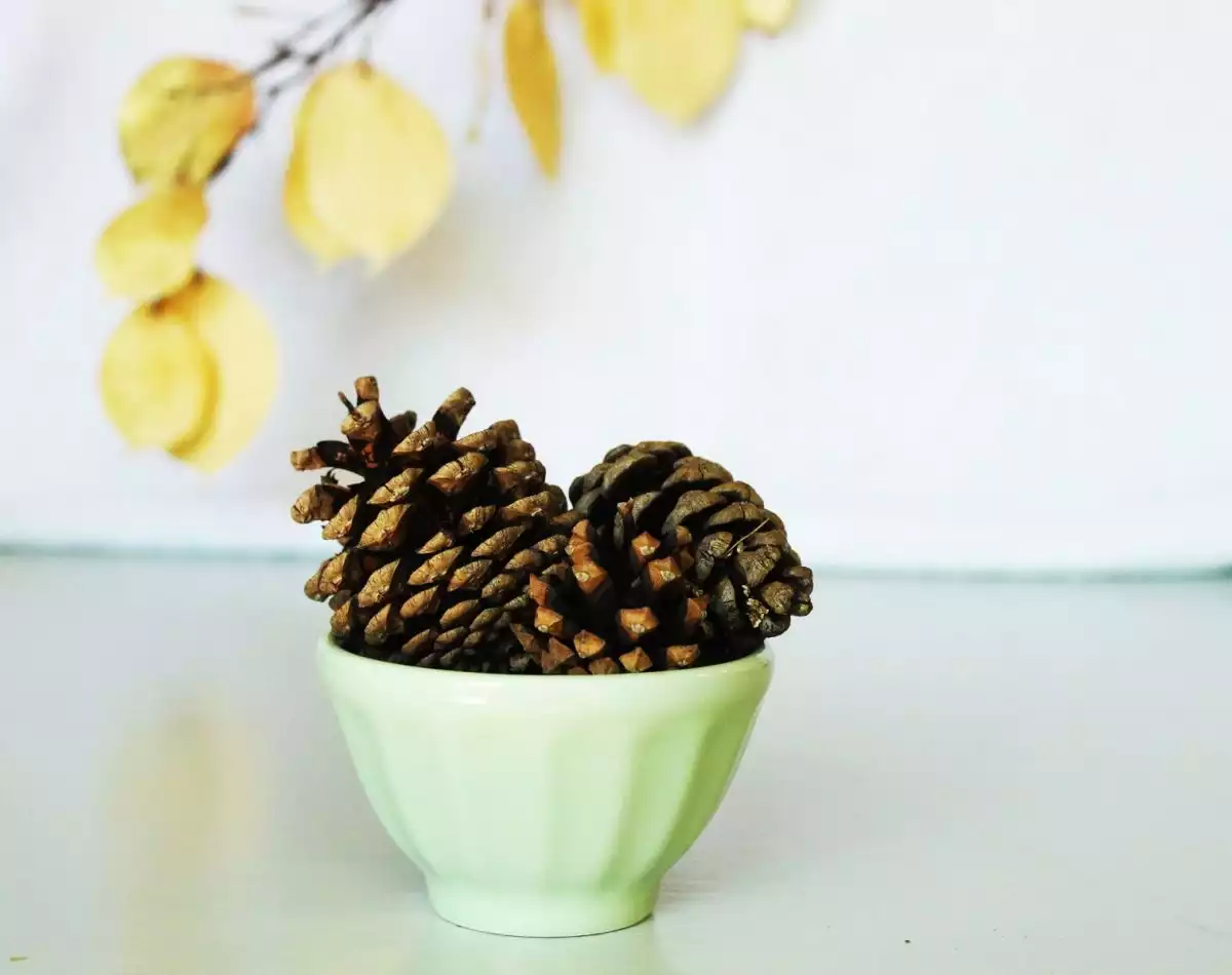 DIY Autumn Aromas-Set the zipped-up Ziploc bag