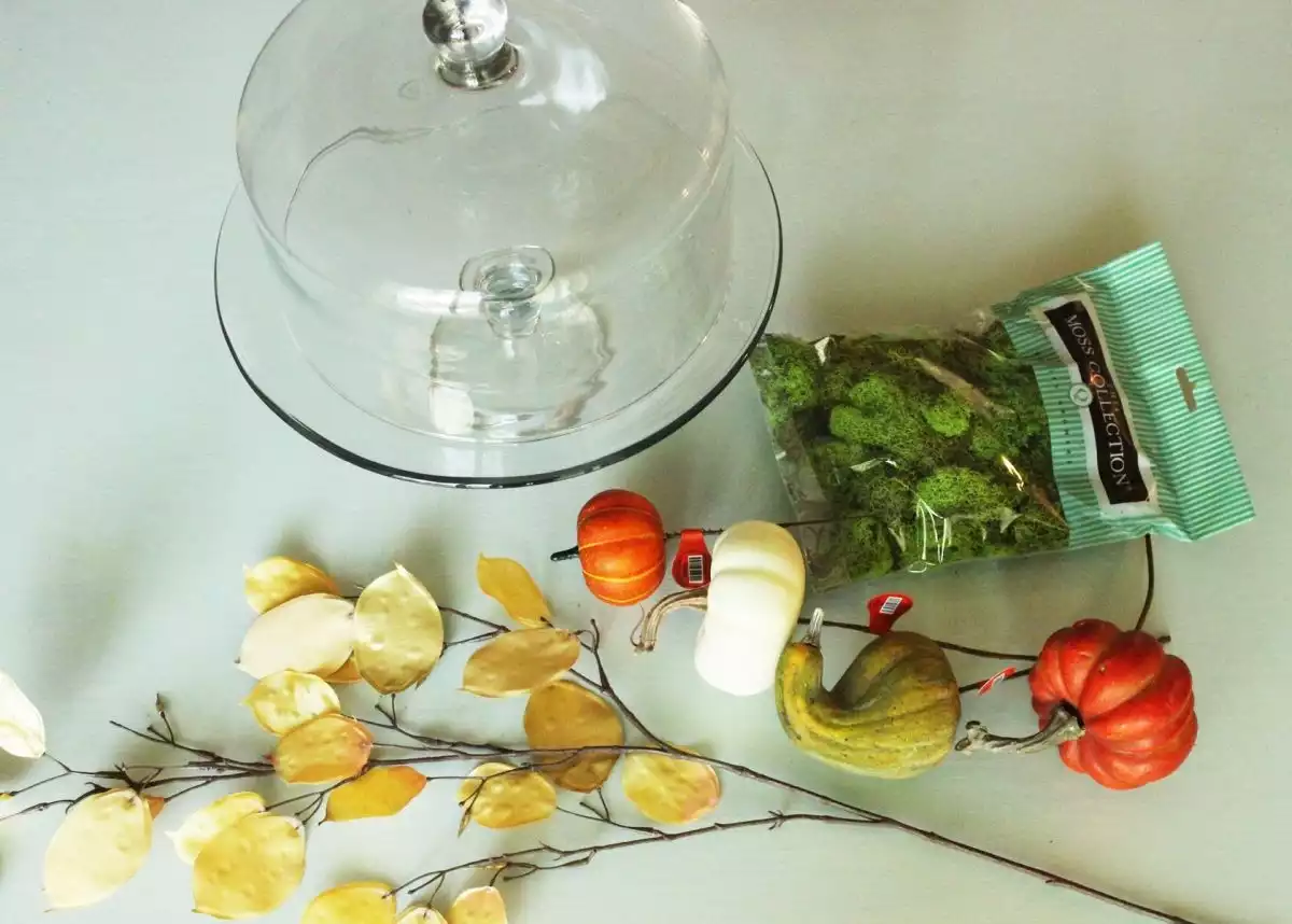 DIY Domed Pumpkin Patc - materials